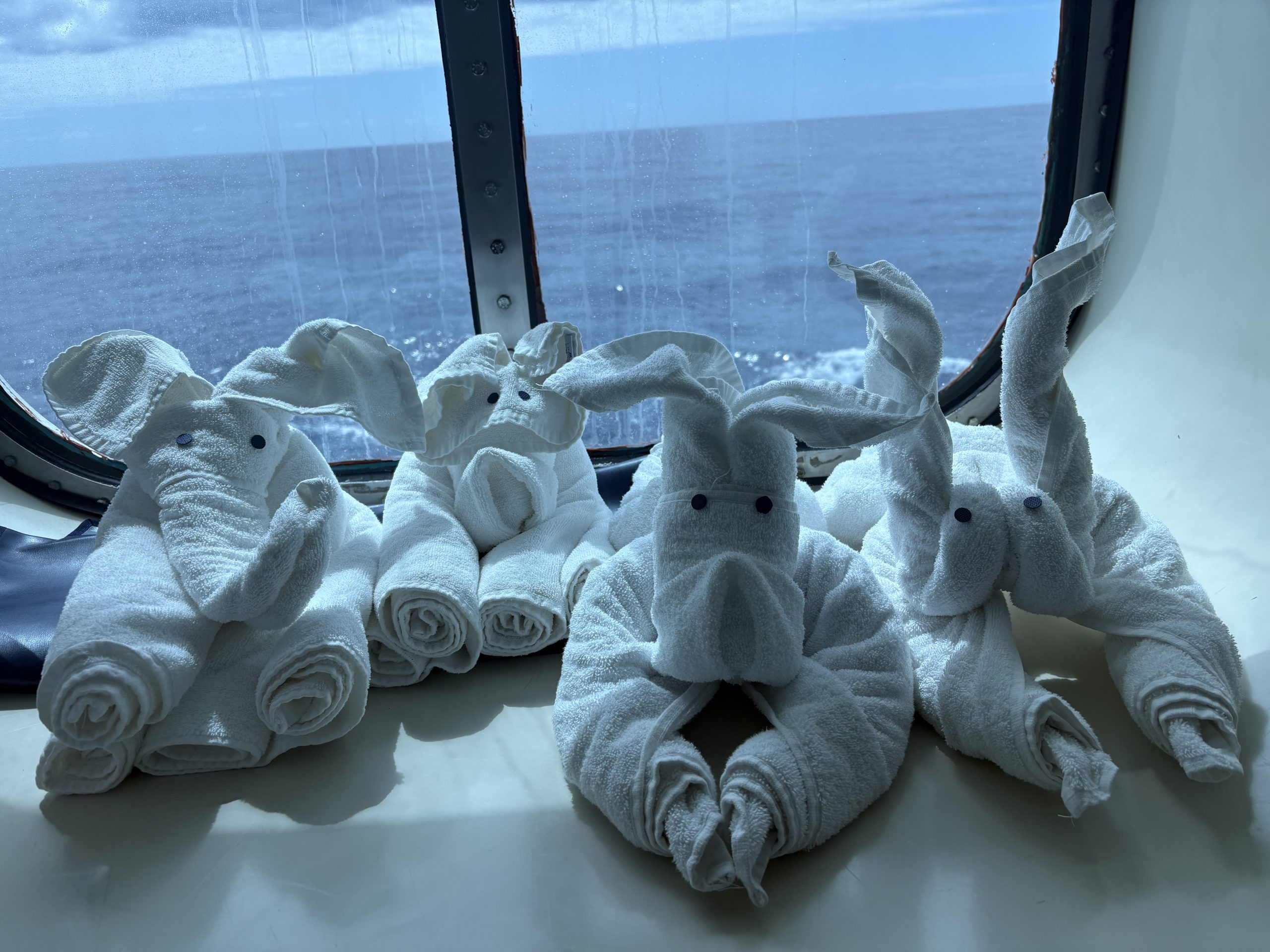 cruise animal towels
