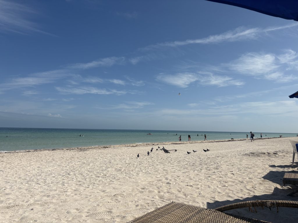 progreso beach